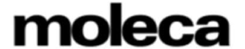 moleca-atacado moleca-atacado