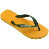 Chinelo Masculino Havaianas Brasil Logo - Atacado
