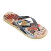 Chinelo Masculino Havaianas Top Warner Classics - Atacado