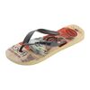 Chinelo Masculino Havaianas Top Warner Classics - Atacado