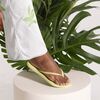 Chinelo Feminino Havaianas Slim Grade - Atacado