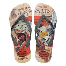 Chinelo Masculino Havaianas Top Warner Classics - Atacado